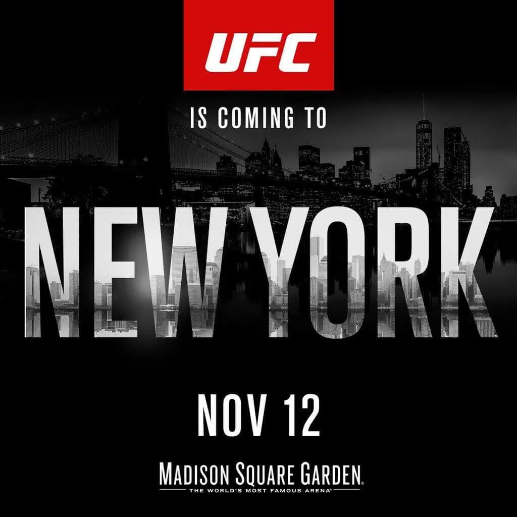 UFC 205 New York