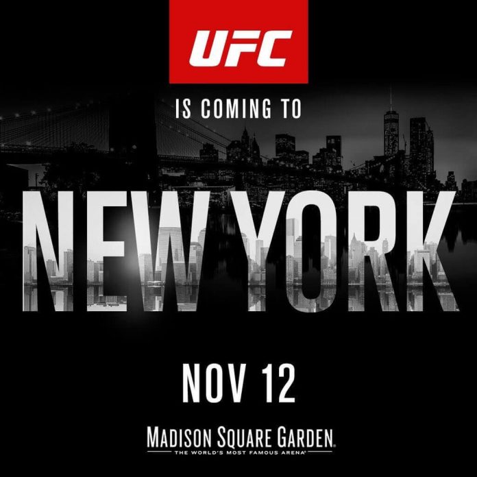 UFC 205 Odds and Early Predictions
