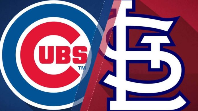 Cardinals vs Cubs | Odds, Preview, Predictions | BigOnSports